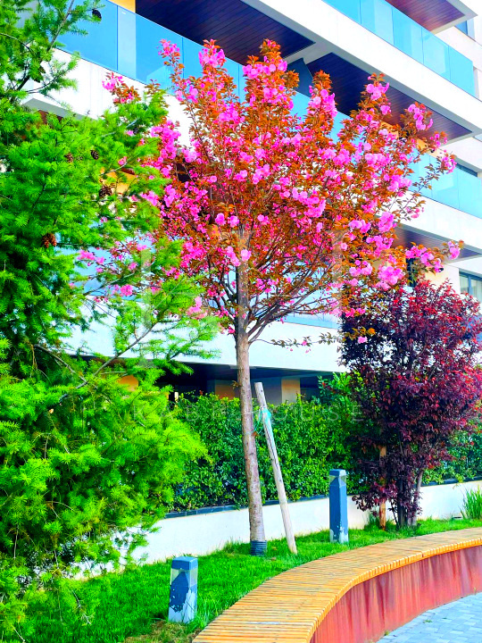 3 camere Premium NUSCO CITY | DRESSING-URI | PARCARE SUBTERANA | VEDERE GRADINA — fotografia 1